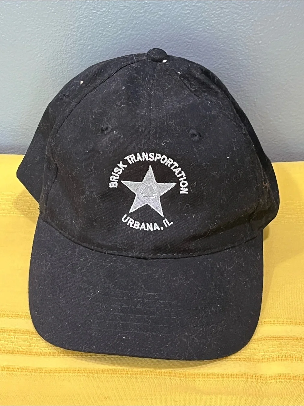 Vtg Brisk Transportation Urbana IL - Trucking Dad Hat Cap